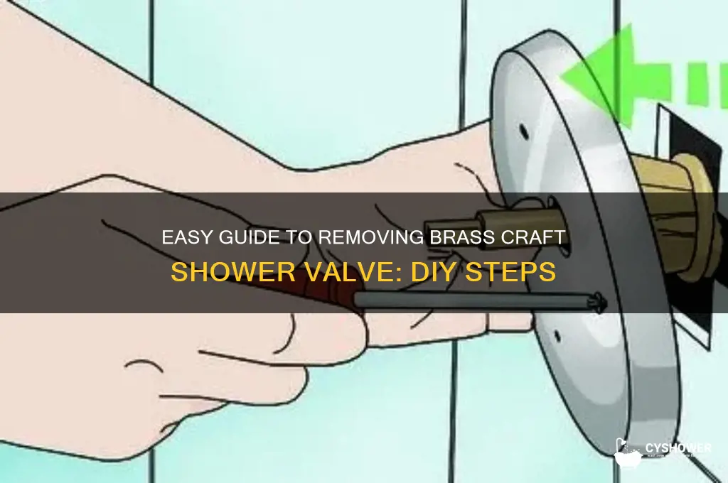 how to remove shower valve brass craft