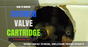 Easy Steps to Remove a Shower Valve Cartridge