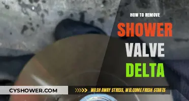 Easy Guide to Removing a Delta Shower Valve: Step-by-Step Instructions