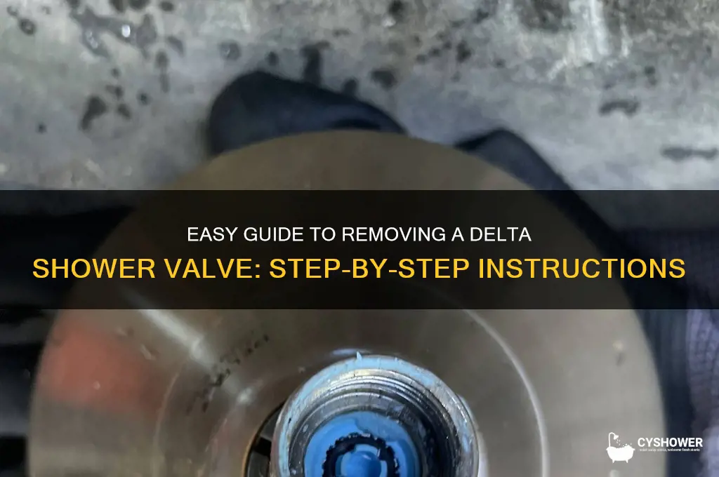 how to remove shower valve delta