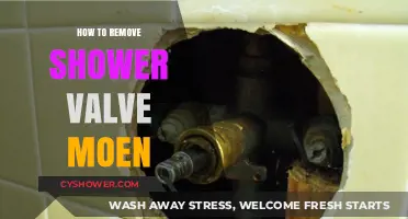 Step-by-Step Guide: Removing a Moen Shower Valve Easily
