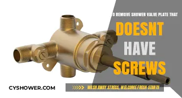 Removing Screwless Shower Valve Plates: A Step-by-Step DIY Guide