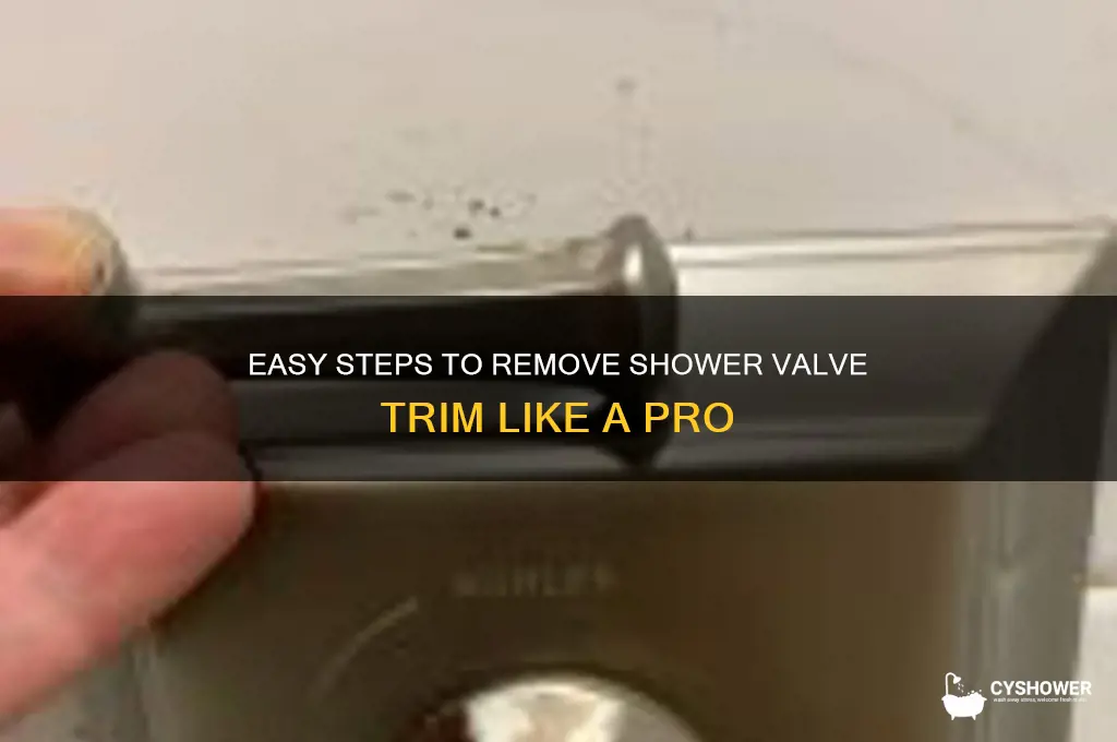how to remove shower valve trim