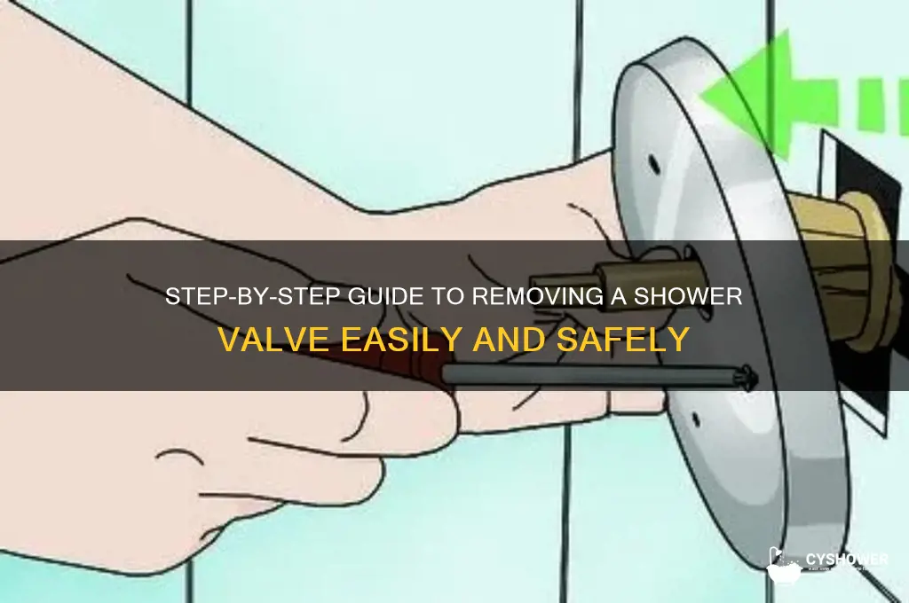 how to remove shower valve
