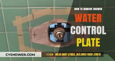 Easy Steps to Remove Your Shower Water Control Plate