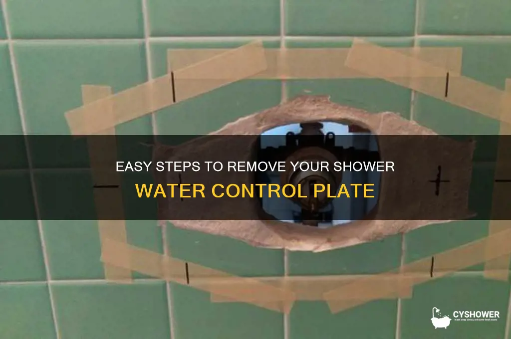 how to remove shower water control plate