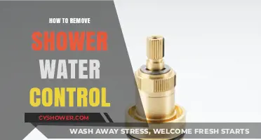 Easy Steps to Remove and Replace Your Shower Water Control Valve