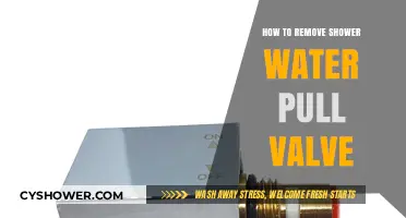Easy Steps to Remove and Replace Your Shower Water Pull Valve