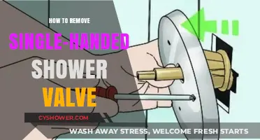 Easy DIY Guide: Removing a Single-Handed Shower Valve Step-by-Step