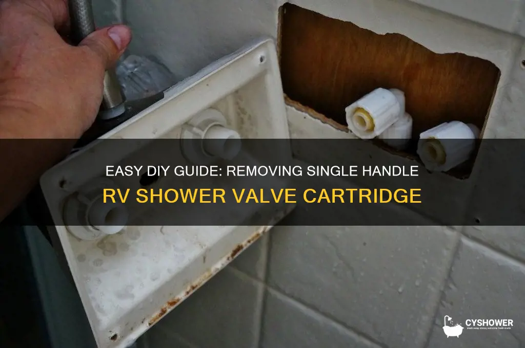 how to remove single handle rv shower valve cartridge