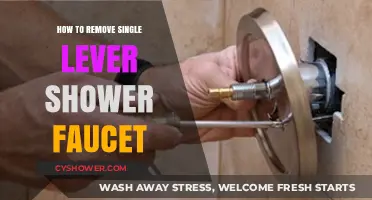 Easy DIY Guide: Removing a Single Lever Shower Faucet