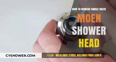 Easy Steps to Remove a Single Valve Moen Shower Head