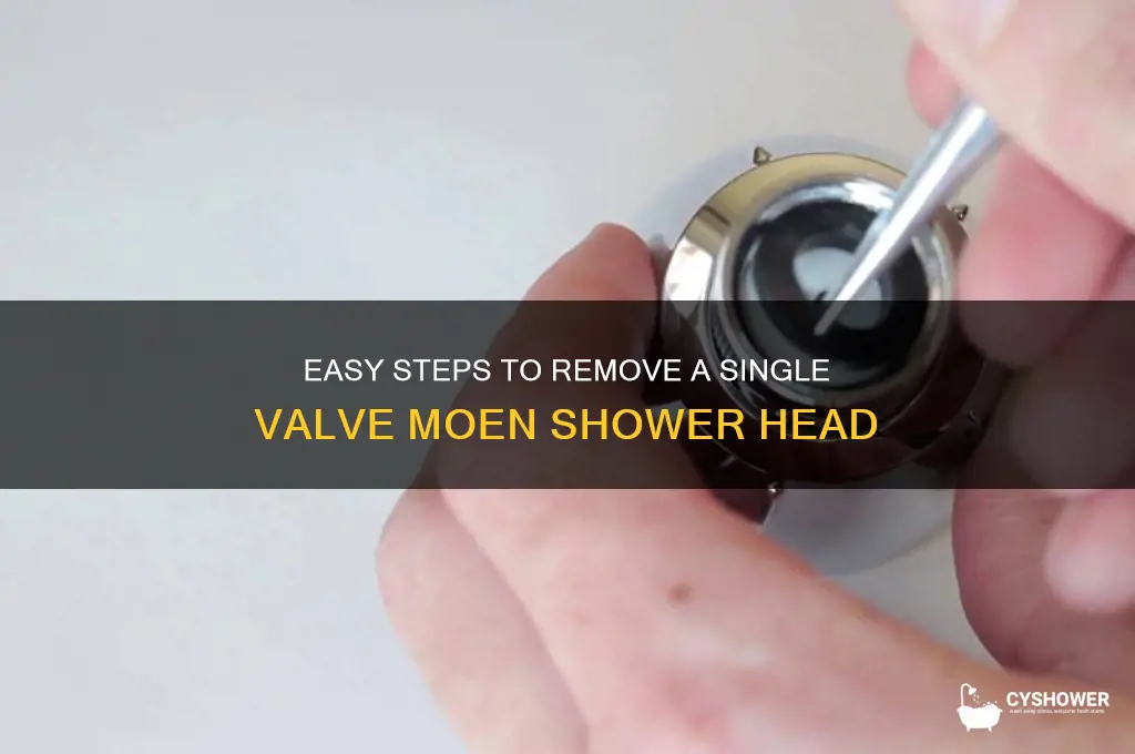 how to remove single valve moen shower head