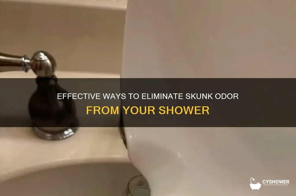 how to remove skunk smell from shower