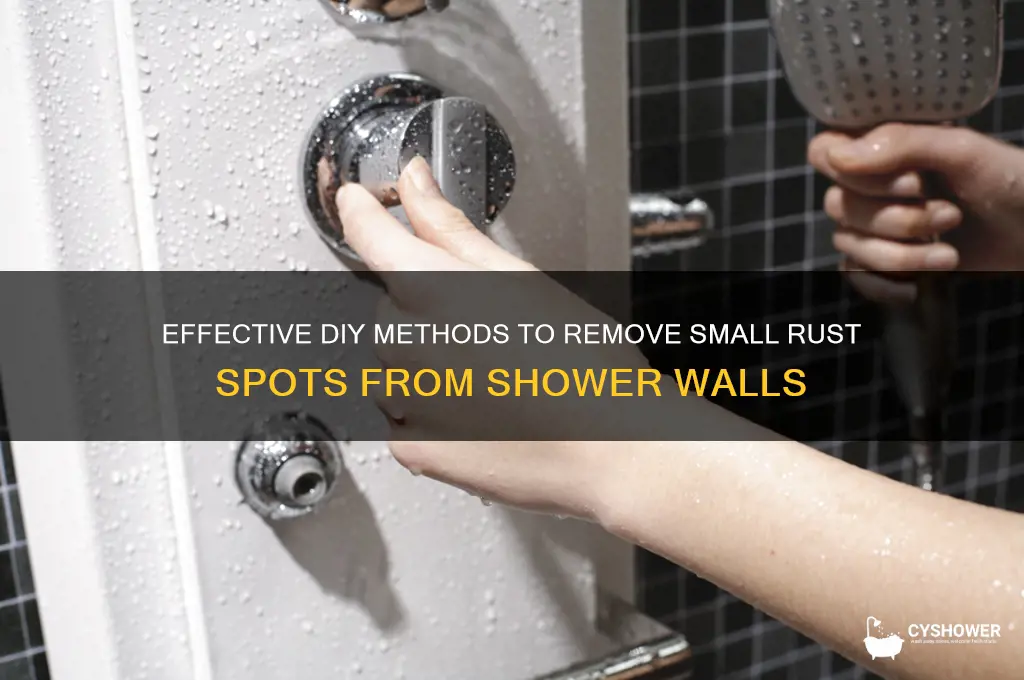 how to remove small rust spots from a shower wall