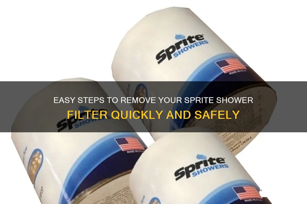 how to remove sprite shower filter
