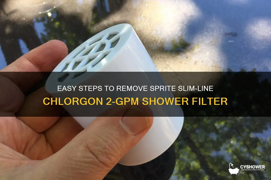 how to remove sprite slim-line chlorgon 2-gpm shower head filter