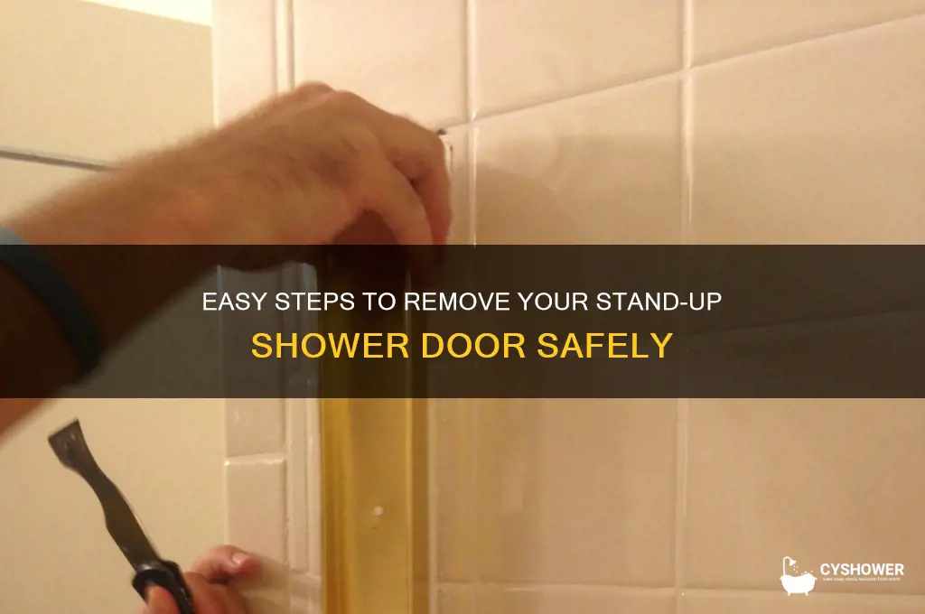 how to remove stand up shower door