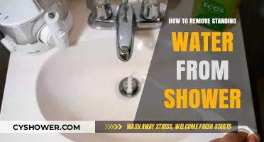 Effective Ways to Remove Standing Water from Your Shower Quickly
