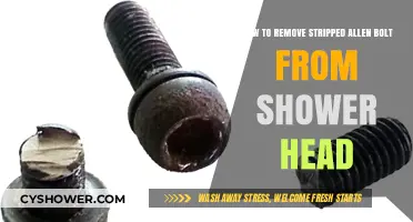 Fixing Shower Head Woes: Removing Stripped Allen Bolts Easily