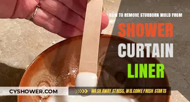 Effective Tips to Eliminate Stubborn Mold from Shower Curtain Liners