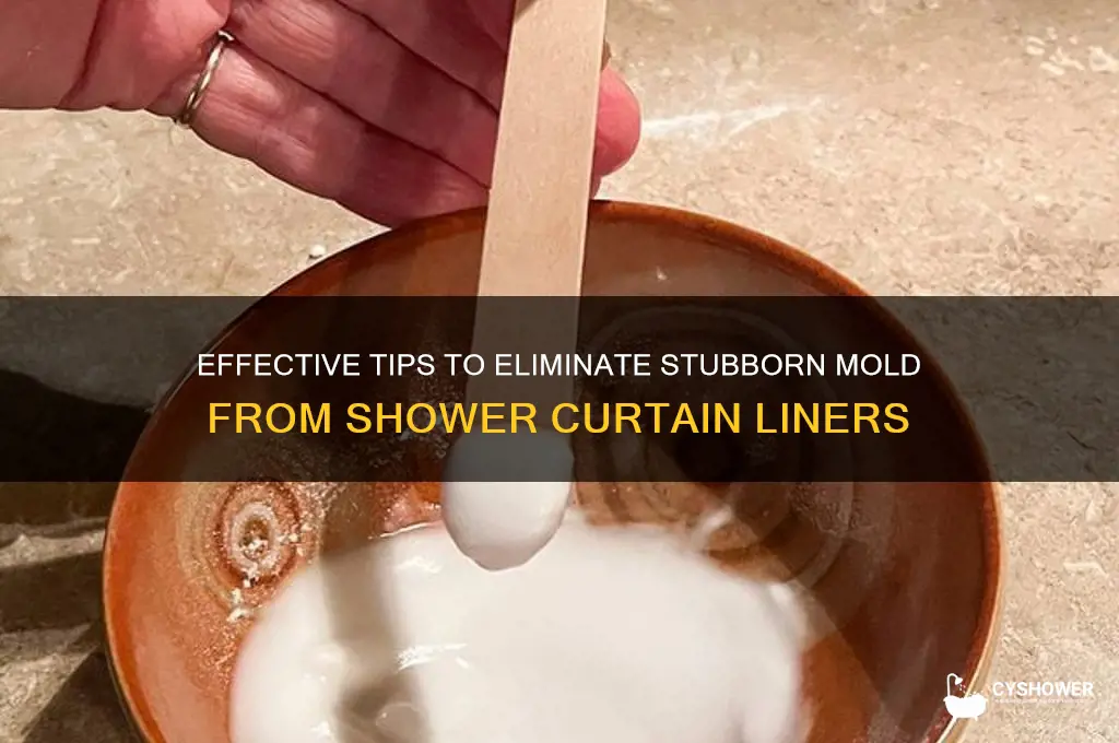how to remove stubborn mold from shower curtain liner