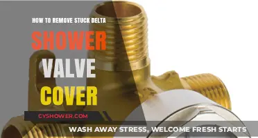 Easy Steps to Remove a Stuck Delta Shower Valve Cover