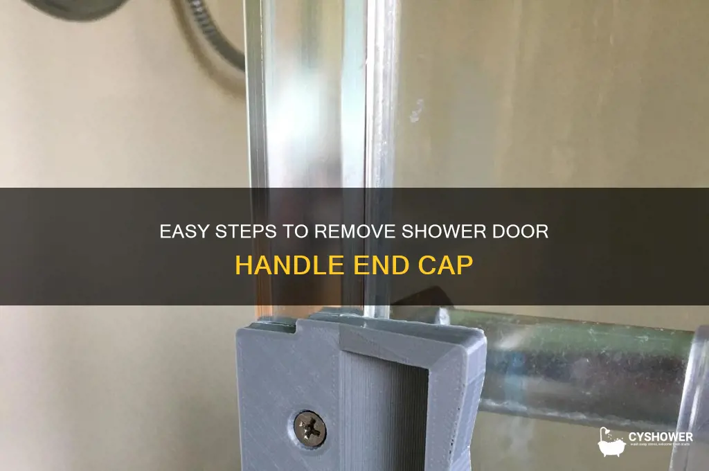 how to remove the end cap from shower door handle