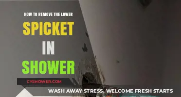 Easy Steps to Remove Your Shower's Lower Spicket