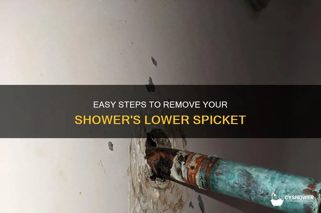 how to remove the lower spicket in shower