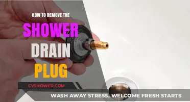 Easy Steps to Remove Your Shower Drain Plug Quickly and Safely