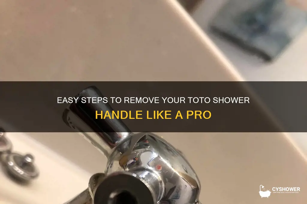 how to remove toto shower handle