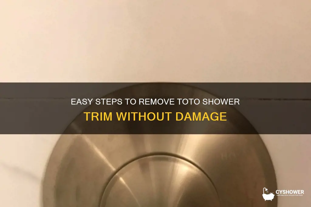 how to remove toto shower trim