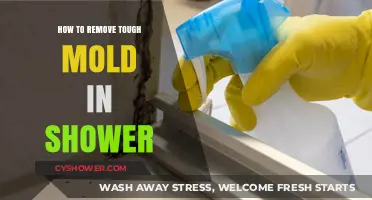 Effective Tips to Eliminate Stubborn Shower Mold for Good