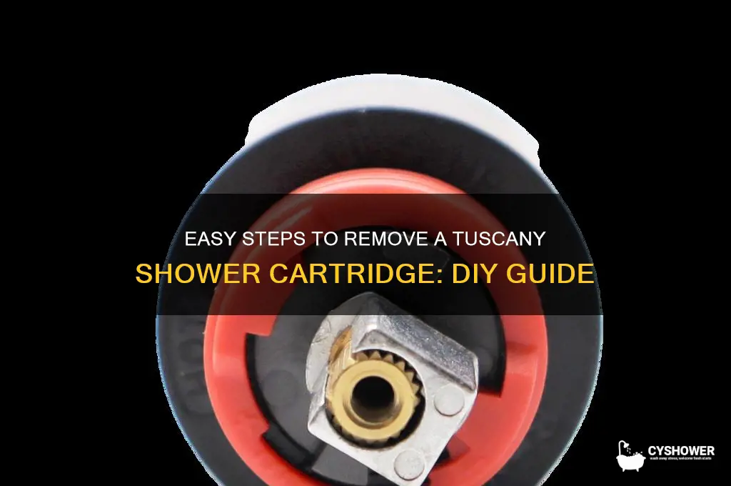 how to remove tuscany shower cartridge