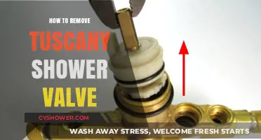 Step-by-Step Guide to Removing a Tuscany Shower Valve Easily
