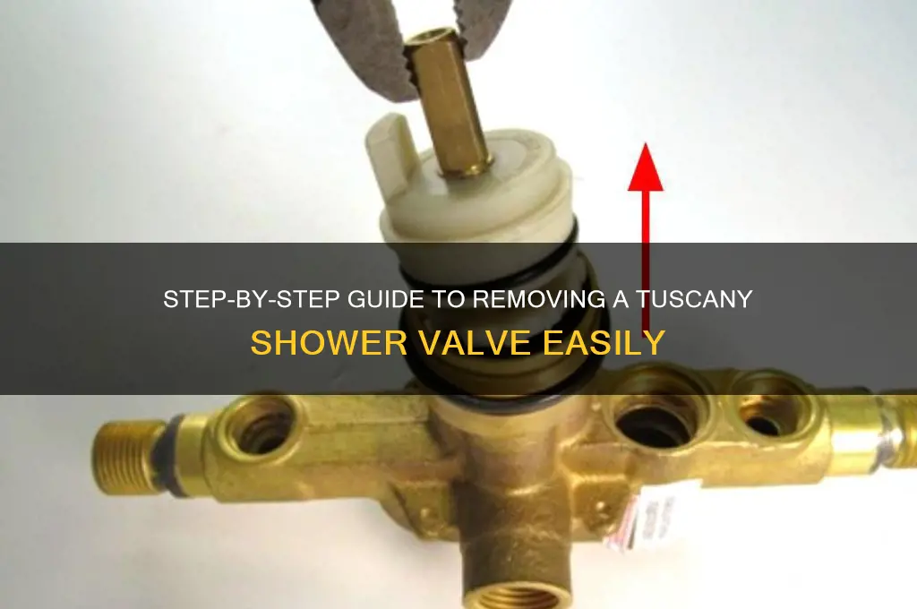 how to remove tuscany shower valve