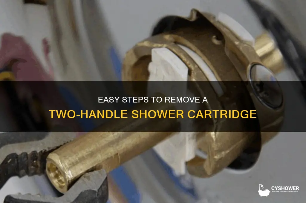 how to remove two handle shower cartridge