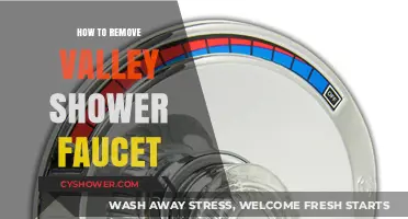 Step-by-Step Guide to Removing a Valley Shower Faucet Easily