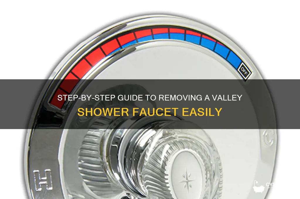 how to remove valley shower faucet