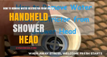 Easy Steps to Remove Water Restrictor from Brizio Handheld Shower Head