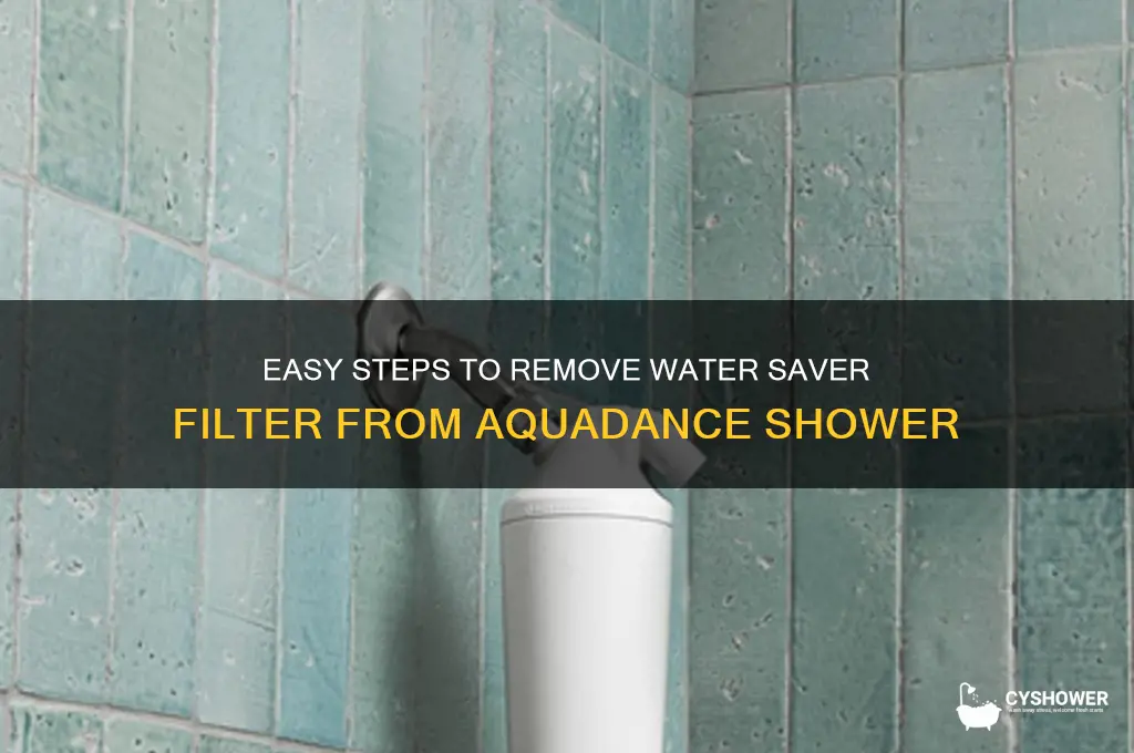 how to remove water saver filter from aquadance handheld shower