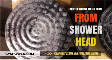 Effective Ways to Remove Water Scum from Your Shower Head
