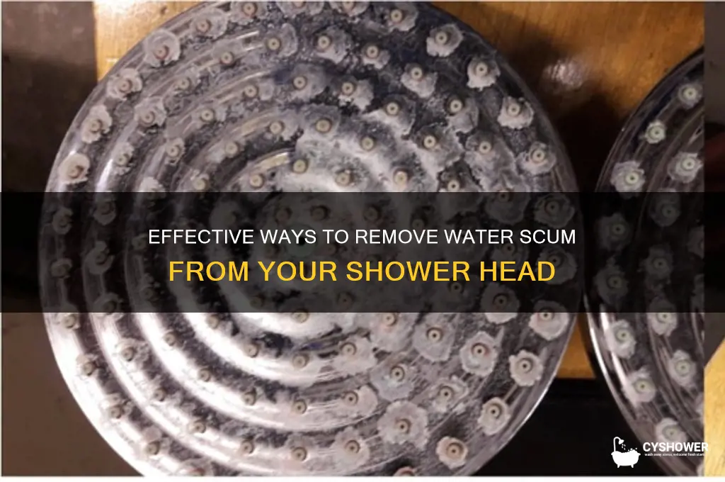 how to remove water scum from shower head