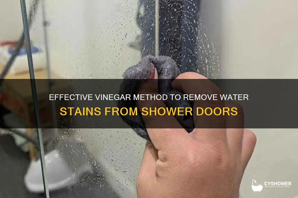 how to remove water stains from shower door with vinegar
