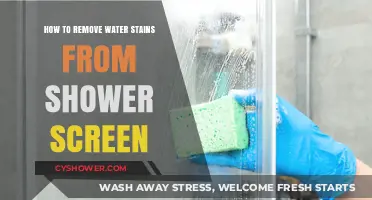 Effective Tips to Remove Water Stains from Your Shower Screen