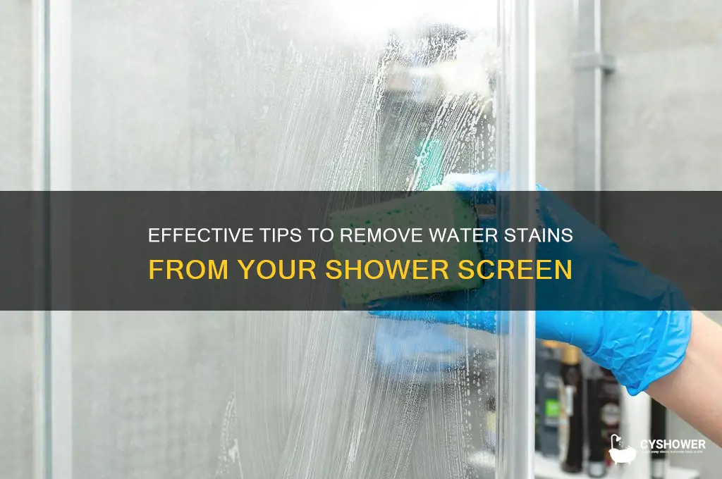 how to remove water stains from shower screen