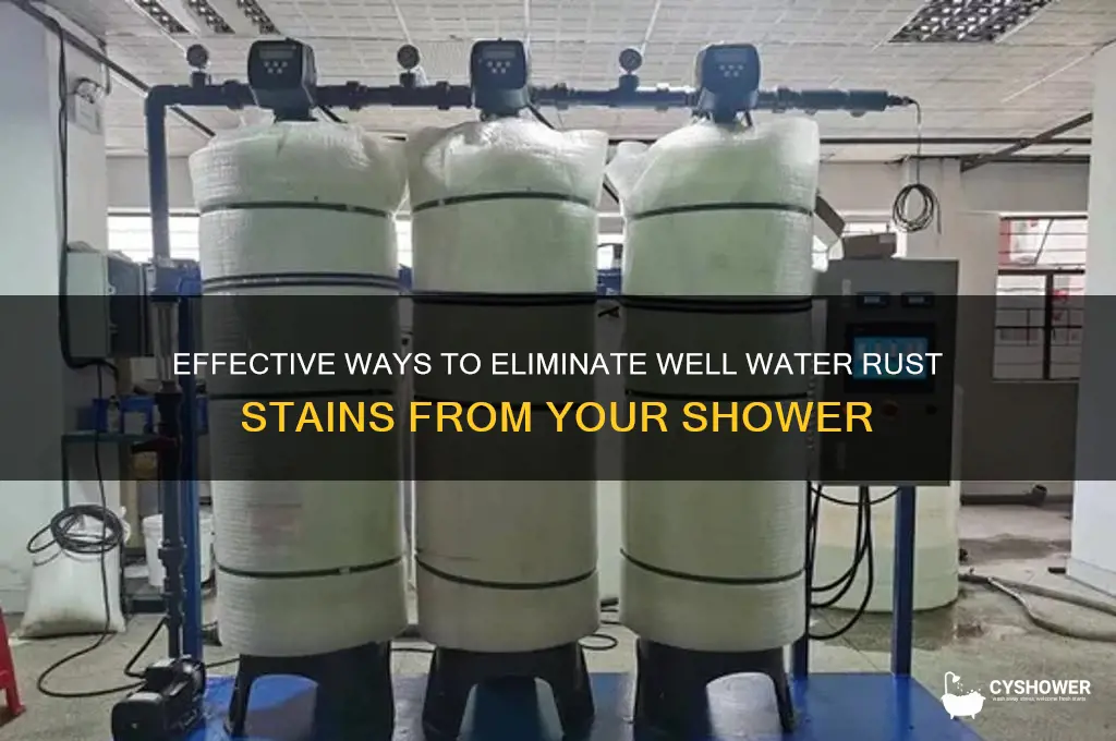 how to remove well water rust from shower