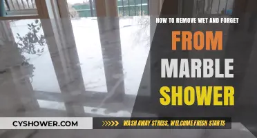 Effective Methods to Safely Remove Wet & Forget from Marble Showers