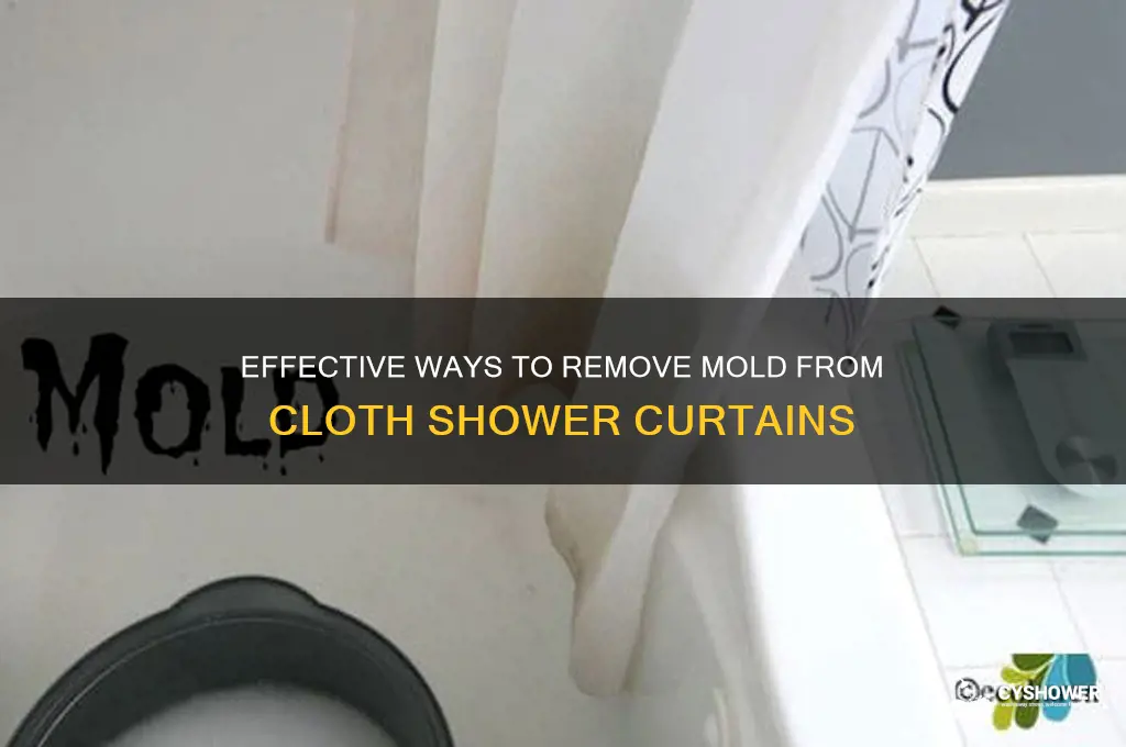 how to remvove mold from cloth shower curtain